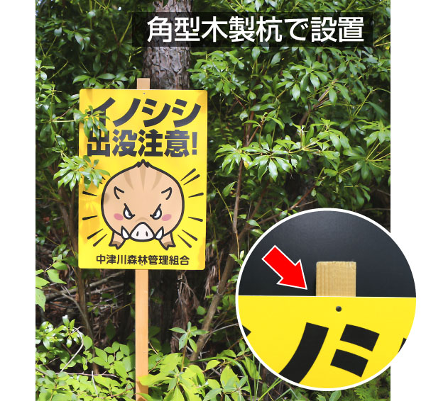 画像6: イノシシ出没注意【看板】 (6)