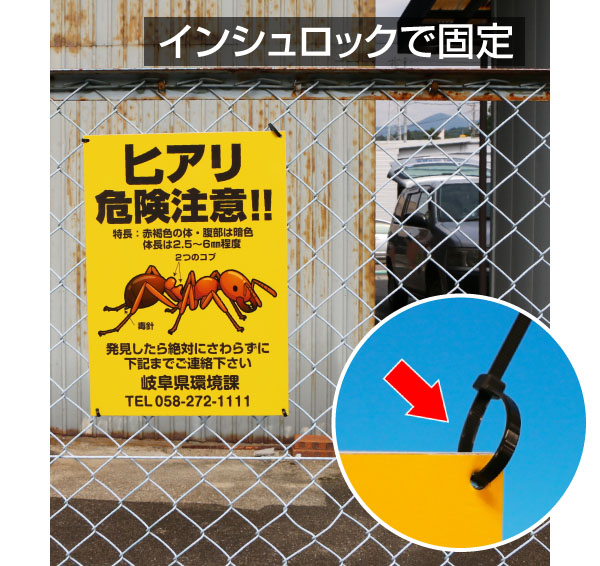 画像9: イノシシ出没注意【看板】 (9)